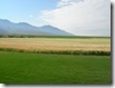 DSCN0003