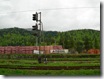 DSCN0529