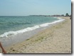 DSCN0803